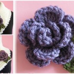 Scarf With Rolled Rose