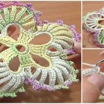 How To Crochet 5-Petal Flower With Big Rounds
