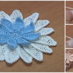 Crochet Long Petal Flower