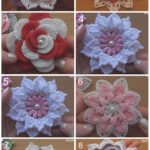 Crochet 8 Gorgeous Flowers