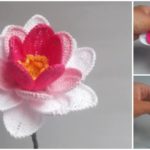Water Lily Video Tutorial