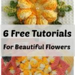 6 Beautiful flowers for your decorations