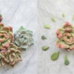 Crochet Cute Succulents